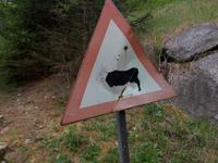 Wer ist das? &ndash; &copy; Ksenia Parfenova (Eberhardt TRAVEL)