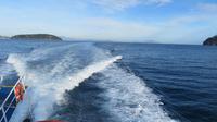 gen Ischia