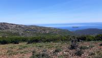 Cap Corse &ndash; &copy; Katrin Deutschbein (Eberhardt TRAVEL)