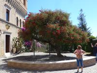 P1080960 &ndash; &copy; Philipp Schmitz (Eberhardt TRAVEL)