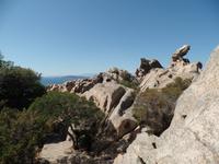 Singlereise Sardinien - Bärenfelsen bei Palau &ndash; &copy; Franziska Bergmann (Eberhardt TRAVEL)