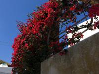Spaziergang durch Lingua (4) &ndash; &copy; Laura Wonneberger (Eberhardt TRAVEL)