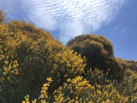 Vulcano (3) &ndash; &copy; Laura Wonneberger (Eberhardt TRAVEL)