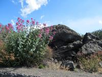 Fahrt zum Ätna (6) &ndash; &copy; Laura Wonneberger (Eberhardt TRAVEL)