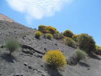 Vulcano (8) &ndash; &copy; Laura Wonneberger (Eberhardt TRAVEL)