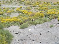 Vulcano (10) &ndash; &copy; Laura Wonneberger (Eberhardt TRAVEL)