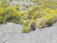Vulcano (13) &ndash; &copy; Laura Wonneberger (Eberhardt TRAVEL)