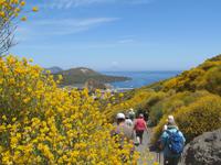 Vulcano (16) &ndash; &copy; Laura Wonneberger (Eberhardt TRAVEL)