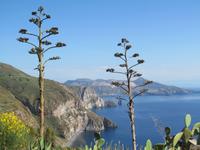 Inselrundfahrt Lipari (4) &ndash; &copy; Laura Wonneberger (Eberhardt TRAVEL)