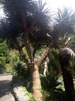 Botanischer Garten &ndash; &copy; Ksenia Parfenova (Eberhardt TRAVEL)
