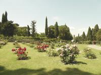 25.05.2017 Rosengarten am Aventin &ndash; &copy; Jutta Petzold-Herrmann (Eberhardt TRAVEL)