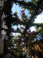 DSCN8560 &ndash; &copy; Kerstin Heintzel (Eberhardt TRAVEL)