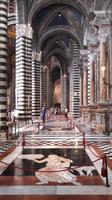 41_Siena_Dom_Innenansicht &ndash; &copy; Walburga Lindner (Eberhardt TRAVEL)