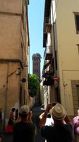 46_Lucca_Guinigi_Turm &ndash; &copy; Walburga Lindner (Eberhardt TRAVEL)