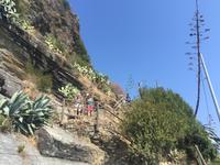 Wanderung von Corniglia nach Vernazza &ndash; &copy; Patrick Fritzsche (Eberhardt TRAVEL)