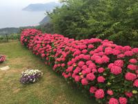Wanderung von Corniglia nach Manarola &ndash; &copy; Patrick Fritzsche (Eberhardt TRAVEL)
