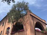 Portofino &ndash; &copy; Patrick Fritzsche (Eberhardt TRAVEL)