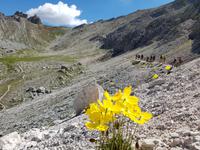 Wandern in Südtirol (Italien) – Dolomiten Wanderreise in Sterzing Astjoch – Sellajoch – Seiser Alm – Gemeinschaftsalm Fane – Burkhardtsklamm – Ratschinger Almenweg – Tatschsp (360) &ndash; &copy; Benjamin Rodriguez Manzanares (Eberhardt TRAVEL)