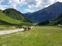 Wandern in Südtirol (Italien) – Dolomiten Wanderreise in Sterzing Astjoch – Sellajoch – Seiser Alm – Gemeinschaftsalm Fane – Burkhardtsklamm – Ratschinger Almenweg – Tatschsp (419) &ndash; &copy; Benjamin Rodriguez Manzanares (Eberhardt TRAVEL)