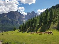 Wandern in Südtirol (Italien) – Dolomiten Wanderreise in Sterzing Astjoch – Sellajoch – Seiser Alm – Gemeinschaftsalm Fane – Burkhardtsklamm – Ratschinger Almenweg – Tatschsp (425) &ndash; &copy; Benjamin Rodriguez Manzanares (Eberhardt TRAVEL)