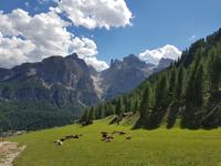 Wandern in Südtirol (Italien) – Dolomiten Wanderreise in Sterzing Astjoch – Sellajoch – Seiser Alm – Gemeinschaftsalm Fane – Burkhardtsklamm – Ratschinger Almenweg – Tatschsp (426) &ndash; &copy; Benjamin Rodriguez Manzanares (Eberhardt TRAVEL)