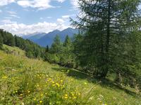 Wandern in Südtirol (Italien) – Dolomiten Wanderreise in Sterzing Astjoch – Sellajoch – Seiser Alm – Gemeinschaftsalm Fane – Burkhardtsklamm – Ratschinger Almenweg – Tatschsp (439) &ndash; &copy; Benjamin Rodriguez Manzanares (Eberhardt TRAVEL)