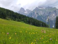 Wandern in Südtirol (Italien) – Dolomiten Wanderreise in Sterzing Astjoch – Sellajoch – Seiser Alm – Gemeinschaftsalm Fane – Burkhardtsklamm – Ratschinger Almenweg – Tatschsp (444) &ndash; &copy; Benjamin Rodriguez Manzanares (Eberhardt TRAVEL)