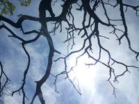 Der Himmel &ndash; &copy; Ksenia Parfenova (Eberhardt TRAVEL)