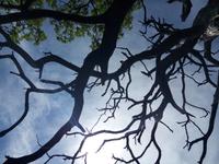  Der Himmel &ndash; &copy; Ksenia Parfenova (Eberhardt TRAVEL)