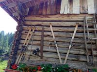Unnuetzliche Dinge &ndash; &copy; Ksenia Parfenova (Eberhardt TRAVEL)