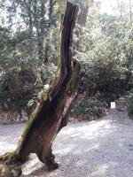 19_Isola_del_Garda