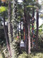 40_Garten_Hruska_Heller &ndash; &copy; Walburga Lindner (Eberhardt TRAVEL)