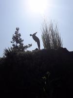 46_Garten_Hruska_Heller &ndash; &copy; Walburga Lindner (Eberhardt TRAVEL)