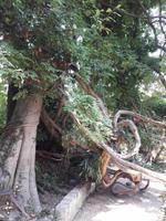 52_Garten_Hruska_Heller &ndash; &copy; Walburga Lindner (Eberhardt TRAVEL)