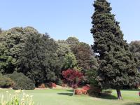 61_Park_Sigurtà &ndash; &copy; Walburga Lindner (Eberhardt TRAVEL)