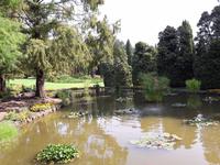 65_Park_Sigurtà &ndash; &copy; Walburga Lindner (Eberhardt TRAVEL)
