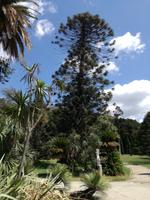 Garten von Caserta