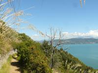 Palmaria 6 &ndash; &copy; Margret van Blokland (Eberhardt TRAVEL)
