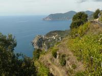 Cinque Terre 12 &ndash; &copy; Margret van Blokland (Eberhardt TRAVEL)