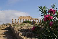 Selinunte &ndash; &copy; Laura Plantikow (Eberhardt TRAVEL)
