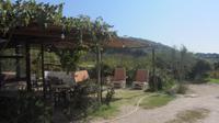 Mittagessen auf dem Weingut in privater Atmosphäre &ndash; &copy; Daniela Paulan (Eberhardt TRAVEL)