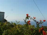 Capri im Oktober 14 &ndash; &copy; Margret van Blokland (Eberhardt TRAVEL)