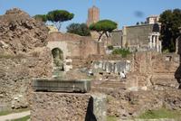 Rom, Forum Romanum (2) &ndash; &copy; Gabriele Sauer (Eberhardt TRAVEL)
