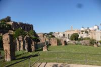 Rom, Forum Romanum (19) &ndash; &copy; Gabriele Sauer (Eberhardt TRAVEL)