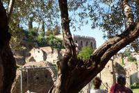 Rom, Forum Romanum (23) &ndash; &copy; Gabriele Sauer (Eberhardt TRAVEL)