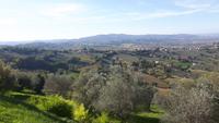 Umgebung von Montefalco &ndash; &copy; Katrin Deutschbein (Eberhardt TRAVEL)