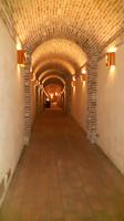 Besuch der Grappa-Destillerie 