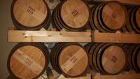 Besuch der Grappa-Destillerie 