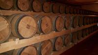 Besuch der Grappa-Destillerie 