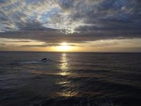Forio 4 &ndash; &copy; Margret van Blokland (Eberhardt TRAVEL)